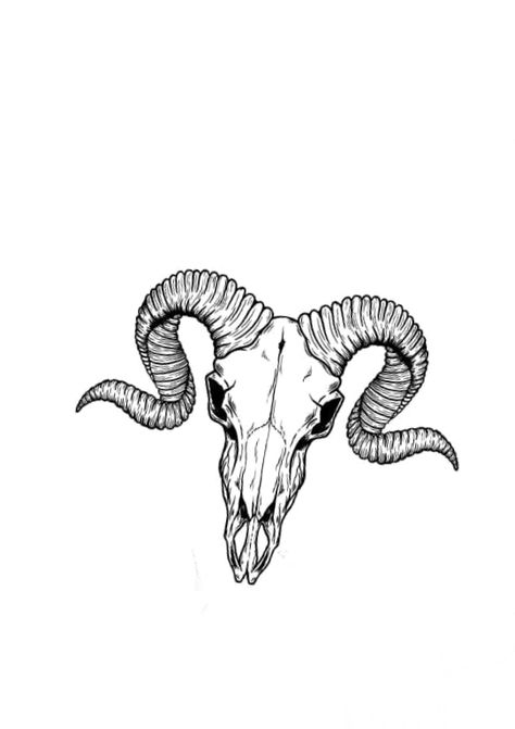 Capricorn Skeleton Tattoo, Goat Skeleton Tattoo, Ram Skeleton Tattoo, Skull With Antlers Tattoo, Men’s Simple Tattoo, Goat Skull Drawing, Animal Skeleton Tattoo, Goat Head Tattoo, Ram Skull Tattoo