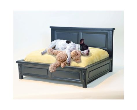 Diy Raised Dog Bed, Dog Bed Frame, Baby Luxury, Dog Couch Bed, Raised Dog Beds, Boarding Facility, Luxury Pet Beds, Baby Pets, Luxury Beds