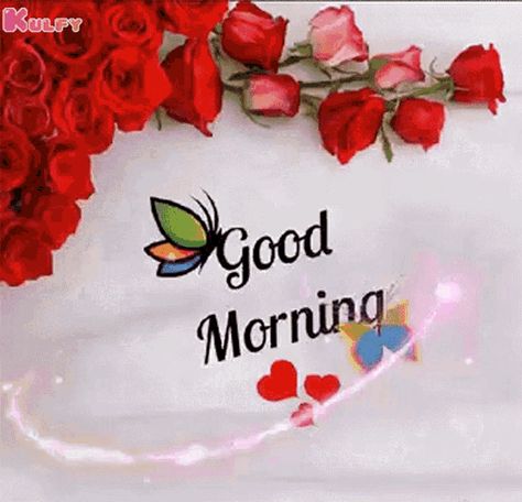 Good Morning Have A Nice Day GIF - Good Morning Have A Nice Day Roses - Discover & Share GIFs Good Morning Sunday Images, Free Good Morning Images, Good Morning Love Gif, Good Morning Beautiful Gif, Cute Good Morning Images, Good Morning Roses, Good Morning Wallpaper, Good Morning Image Quotes, Good Morning Video Songs