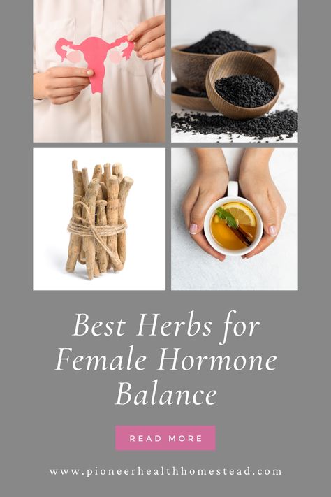 These are the best herbs for female hormone balance. These fantastic herbs are great for women’s health and to balance hormones. In this post I go over the basics of the endocrine system, what hormones are, endocrine system diseases, classes of herbs, the best herbs for female hormone balance, and some recipes to take these herbs for common ailments. Endocrine System Diseases, Female Hormone, The Endocrine System, Nutrition Drinks & Shakes, Health Gifts, Balance Hormones, Boost Testosterone, Adaptogenic Herbs, Hormone Balance