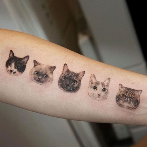 Ragdoll Cat Tattoo, Tattoo Writing Fonts, Cat Face Tattoos, Terrible Tattoos, Cat Tattoo Simple, Horoscope Tattoos, M Tattoos, Cat Tattoo Designs, Modern Tattoos