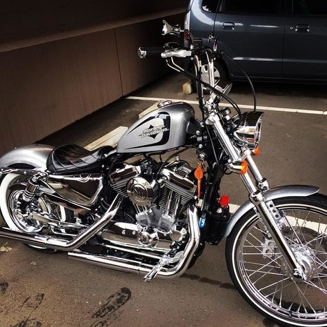 But what a beauty! The combination of chrome and silver!!!  #harleydavidson #sportster Hd Sportster, Sportster Chopper, Motorcycle Ideas, Harley Davidson Sportster 1200, Sportster Bobber, Custom Sportster, Custom Street Bikes, Sportster 1200, Harley Bobber