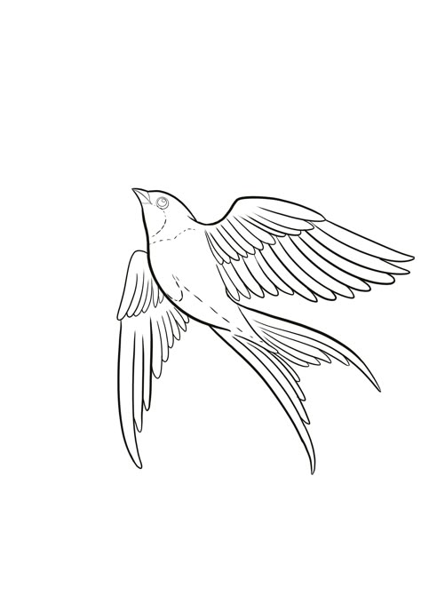 Bird Line Drawing, Chest Tattoo Stencils, Simple Bird Tattoo, Flower Tattoo Stencils, Bird Outline, Petit Tattoo, Swallow Tattoo, Stencil Outline, Tattoo Quotes For Women