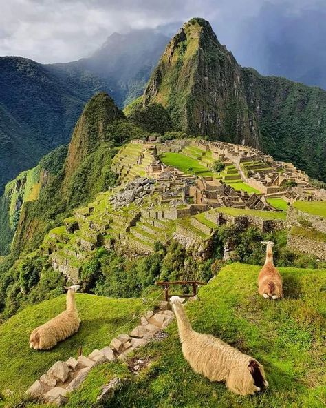 Machu Picchu Peru, Vientiane, Peru Travel, Dream Travel Destinations, South America Travel, Machu Picchu, Beautiful Places To Travel, Pretty Places, America Travel