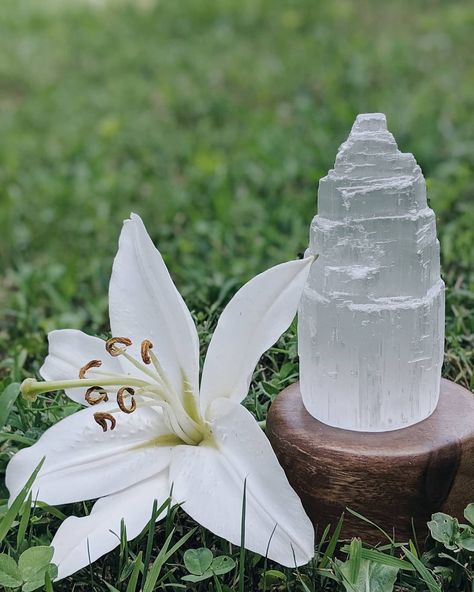 White selenite is one of my favorites! Selenite Aesthetic, Divine Feminine Art, Feminine Art, Selenite Crystal, Divine Feminine, My Favorites, Gemstones, Crystals, Collage