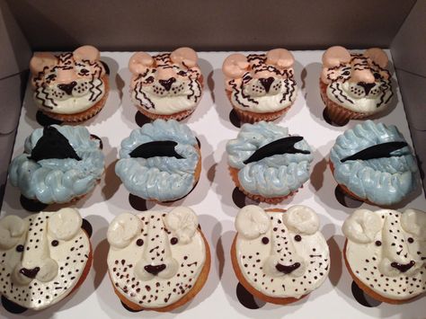 Assorted box of Cupcakes for Conservation (Whales, Snow Leopards, Jaguars) Snow Leopard Cupcakes, Leopard Cupcakes, Leopard Cake, Icecream Bar, Cupcake Party, Snow Leopard, 6th Birthday, Leopards, Nut Free