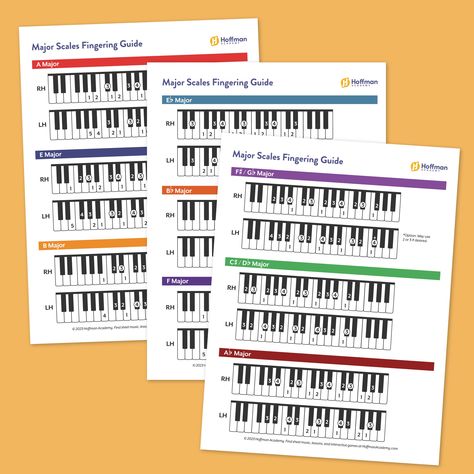 A free, complete guide to proper piano fingering for all major scales. 4 PDF pages. Piano Scales Free Printable, Piano Scales, E Major, Major Scale, Scales, Teaching Resources, Free Printables, Piano, Free Download