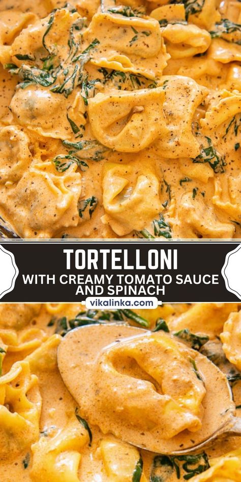 Make this easy creamy tomato sauce for your stuffed pasta like tortelloni or tortellini in a matter of minutes. Minimal ingredients well put together can create loads of flavour! Healthy Tortellini Recipes, Tortolini Recipe, Vikalinka Recipes, Homemade Tortellini, Cheese Tortellini Recipes, Red Sauce Recipe, Creamy Tomato Pasta, Tomato Cream Sauce, Pesto Tortellini