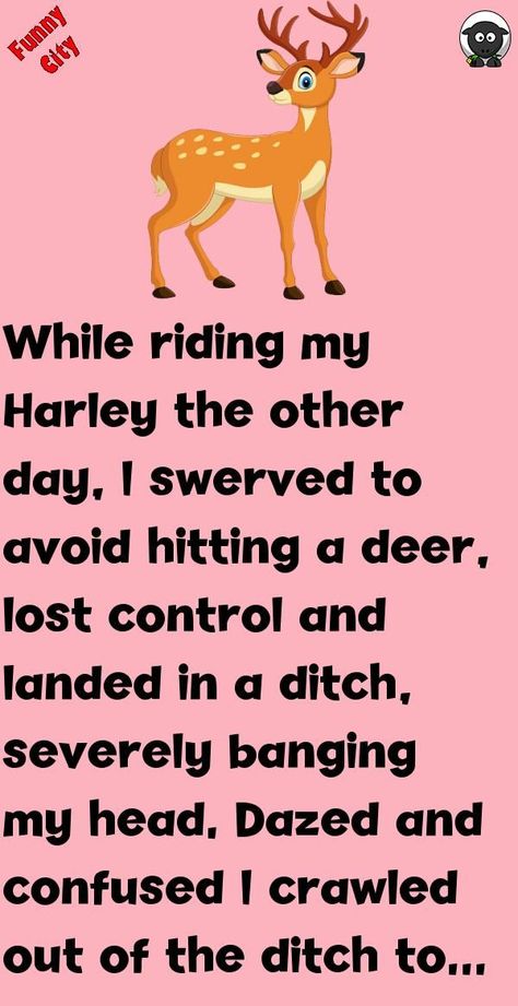 While riding my Harley the other day, I swerved to avoid hitting a deer, lost control and landed in a ditch, severely banging my head. Dazed and confused I crawled out of the ditch to the edge of ... #funny #joke #story Funny Methhead Jokes, Funny City, Lost Control, Joke Funny, Dazed And Confused, A Deer, Funny Humor, Funny Stories, My Wife