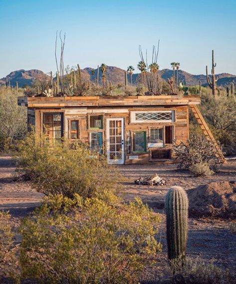 Desert Cabin, Desert Town, Earthship Home, Desert Environment, Living Roofs, Off Grid Cabin, Cactus Desert, Concrete Bricks, Southwest Desert