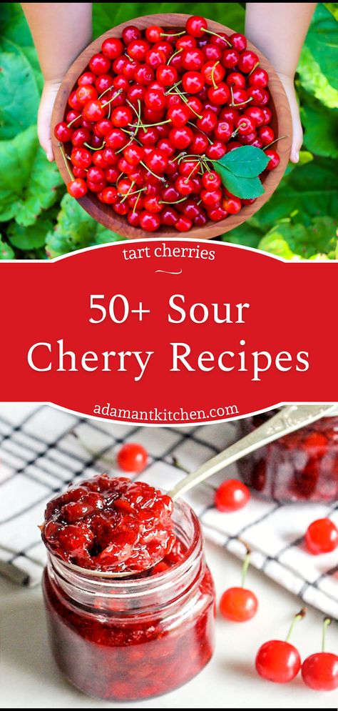 From savory dishes to delightful desserts, this pin provides over 50 tart cherry recipes that celebrate the unique flavor of sour cherries. Whether you're preserving sour cherries for later or baking a cherry pie for tonight's dessert, these recipes are sure to satisfy any cherry craving and offer an abundance of culinary inspiration. Tart Cherry Salsa Recipe, Pin Cherry Recipes, Healthy Sour Cherry Recipes, Canned Sour Cherry Recipes, Nanking Cherry Recipes, Dried Cherries Recipes, Door County Cherry Recipes, Tart Cherry Recipes, Tart Cherries Recipes