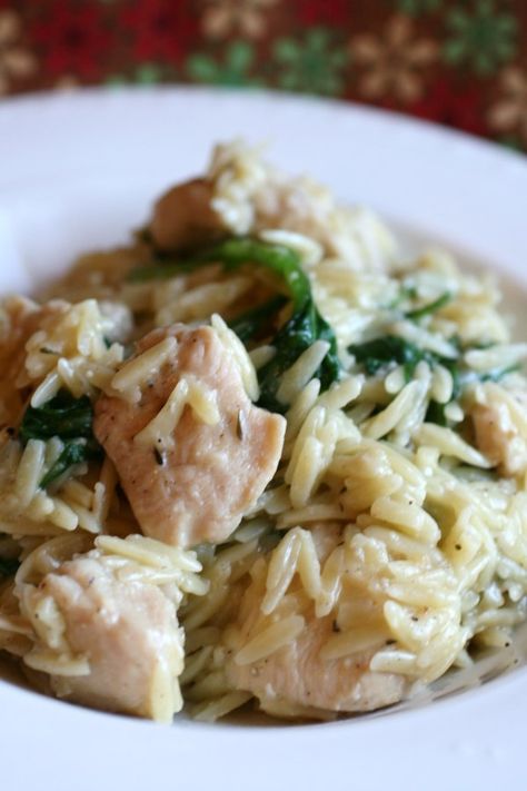 Garlic Chicken with Orzo Noodles | "This is a great combination of flavors and textures, and healthy! The orzo pasta makes this VERY kid friendly." #allrecipes #dinnerideas #dinnerrecipes #dinnerdishes #familydinnerideas #chicken #chickenrecipes Chicken With Orzo, Low Cholesterol Recipes, Diner Recept, Pasta Dinners, Chicken Pasta Recipes, Garlic Chicken, Noodle Recipes, Poultry Recipes, Dinner Menu