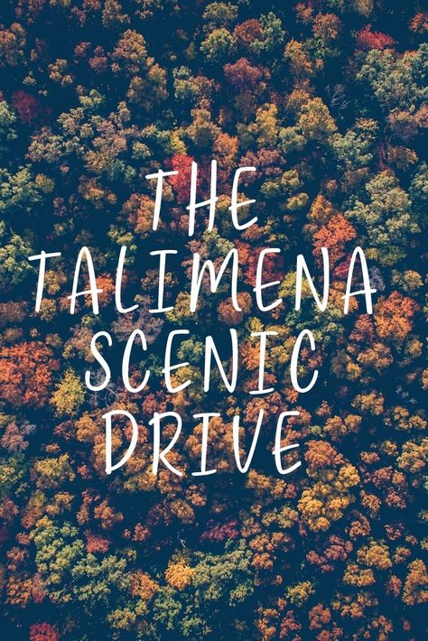 Autumn is in full swing! Looking for the best way to see this year’s foliage? The Talimena Scenic Drive is a scenic 54-mile stretch of highway that will take you through the Ouachita National Forest. Tallulah Gorge State Park, Hahatonka State Park, Talimena Scenic Drive, Amicola Falls, Fall Foliage Trips, Pagsanjan Falls Laguna, Road Trip Destinations, Autumn Drives, Beautiful Sites