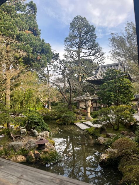 Japanese tea garden San Francisco, SF tea garden, sam francisco date, bonsai tree, japanese tea garden date, san francisco date ideas, golden gate park san francisco, tea garden San Francisco Botanical Garden, Japanese Garden Aesthetic, Japanese Tea Garden San Francisco, Garden Date, Golden Gate Park San Francisco, Park Date, Garden Bonsai, Japanese Tea Garden, Golden Gate Park