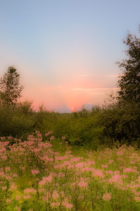 Dreamy Meadow, French Landscape, Cute Images For Wallpaper, Pretty Landscapes, Nature Drawing, Cute Images, Flower Field, Mother Earth, Pretty Flowers