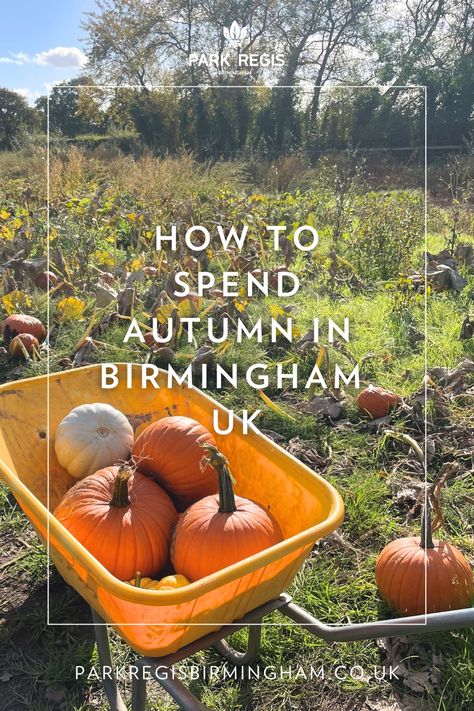 Looking for things to do in Birmingham this Autumn and Halloween? From pumpkin picking, outdoor cinemas, Halloween events and where to find the best pumpkin spiced latte, we have a crafted a list of our favourite seasonal activities. These are to be enjoyed during both October half term in Birmingham, and all Autumn long! October Half Term, Pumpkin Spiced Latte, Autumn And Halloween, Seasonal Activities, Halloween Events, Outdoor Cinema, Uk City, Pumpkin Picking, Birmingham Uk