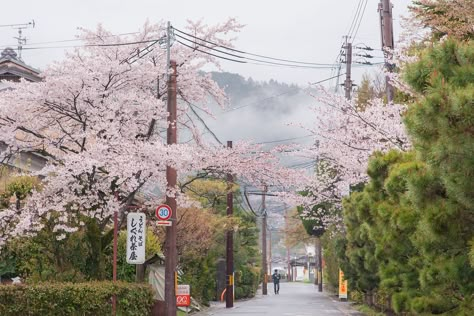 by HanWen Chen Japan Unfiltered, Japanese Vibes, Japanese Core, Japan Icon, Japanese Icon, Tokyo Aesthetic, Japan Vibes, Japan Core, Japan Life