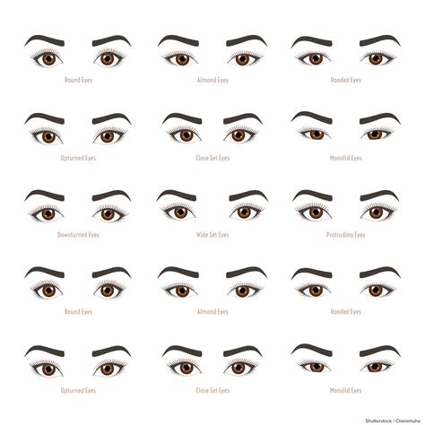 Eye Shape Chart, Different Types Of Eyes, Eye Color Chart, Lash Tricks, Shape Chart, Eyebrow Design, Beginners Eye Makeup, Eyelash Extentions, Face Shape Hairstyles