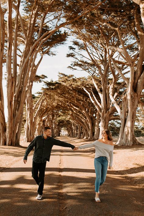 Katie + Nick. Point Reyes Lighthouse photoshoot, northern san francisco engagement, wedding planning in san francisco, casual outfits for engagement photos, adventurous wedding pictures, california beach engagement session, cypress tree tunnel california, Point Reyes golden hour photoshoot, outfit ideas for engagement pictures Point Reyes Engagement Shoot, Cypress Tree Tunnel, Point Reyes California, Point Reyes Lighthouse, City Hall Wedding Photos, Point Reyes National Seashore, Tree Tunnel, San Francisco Engagement, City Engagement Photos