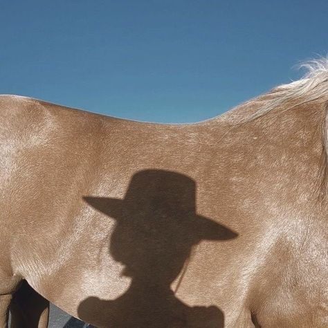 Foto Cowgirl, Cowboy Aesthetic, Inheritance Games, Cowgirl Aesthetic, Hunter Jumper, Western Aesthetic, Yee Haw, Ranch Life, Coastal Cowgirl