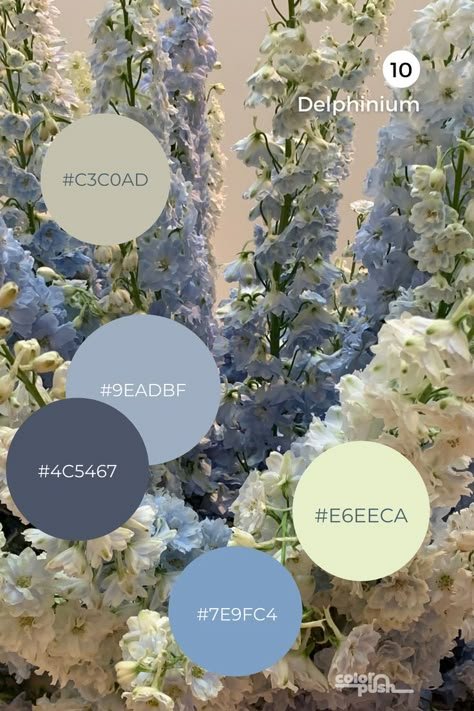 Blue color palette inspired by delphinium flowers Hydrangea Blue Color Palette, Country Blue Color Palette, Blue Color Pallete Wedding, Blue Tone Wedding Color Schemes, Powder Color Palette, Spring Wedding Blue Colors, Blue Wedding Pallet Ideas, Spring Blue Color Palette, Wedding Color Schemes Blue And Yellow