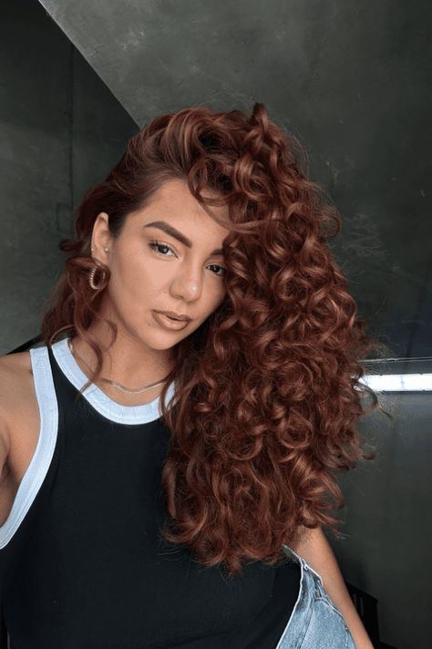 hair transformations, year end, hair styles Auburn Hair Color Curly Curls, Mahogany Hair Color Curly, Voluminous Hair Curls, Curly Chocolate Brown Hair, Curly Coloured Hair, Auburn Hair Curly, Best Hair Color For Curly Hair, Long Curly Hair Color Ideas, Dark Copper Curly Hair