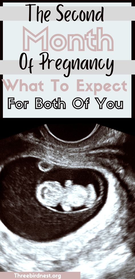 What to expect during the second month of pregnancy. Everything for you and your baby. Click to read ' The second month of pregnancy- What to expect | This little nest pregnancy symptoms, pregnancy second month, first trimester, pregnancy signs, pregnancy signs during the second month, am I pregnant? 2 Months Pregnant, 7 Weeks Pregnant, Third Month Of Pregnancy, First Trimester Pregnancy, Am I Pregnant, First Month Of Pregnancy, First Ultrasound, Prepare For Labor, Getting Ready For Baby