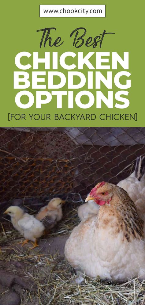 Chicken Beds, Diy Chicken Coop Bedding, Diy Chicken Bedding, Bedding For Chicken Coop, Chicken Bedding, Chicken Essentials, Nesting Box Bedding For Chickens, Chicken Coop Flooring Bedding, Chicken Bedding Ideas