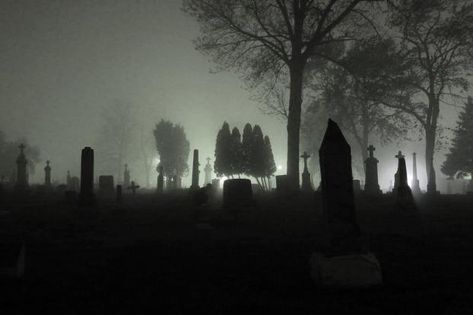 #grunge #graveyard #banner Vampire Widgets, Grunge Banner, Poison Tree, Dark Times, Super Dark, Ios App Icon, Graveyard, Pretty Pictures, Cemetery