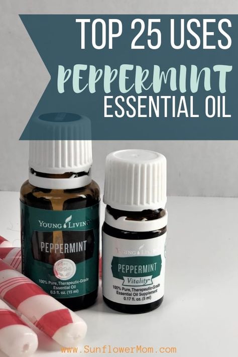 25 Cool Uses for Peppermint Essential Oil Peppermint Essential Oil Benefits, Peppermint Essential Oil Young Living, Peppermint Essential Oil Uses, Citrus Fresh Essential Oil, Peppermint Oil Uses, Young Living Peppermint, Oils For Sinus, Peppermint Plants, Young Living Essential Oils Recipes