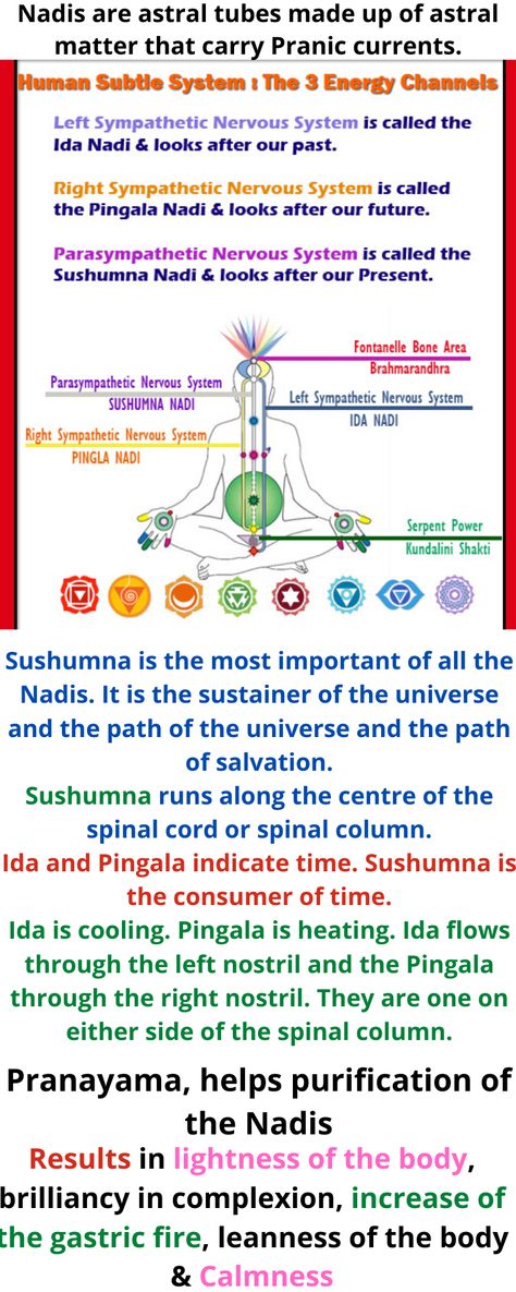 Pingala And Ida, Ida Pingala Nadi, Agna Chakra, Ida Pingala Sushumna, Ida And Pingala, Katonah Yoga, Endocrine Glands, Yoga Poses Chart, Ajna Chakra