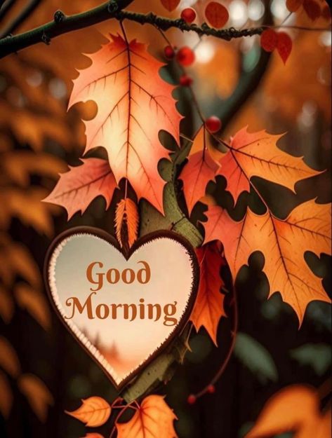 Fall Good Morning, Good Morning Fall, Fall Greetings, Inspirational Good Morning Messages, Good Morning Coffee Images, Good Morning Post, Good Morning Sunshine Quotes, Fall Images, Cute Good Morning Quotes