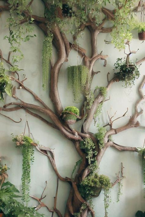 Create a fairycore vertical garden! Attach salvaged branches and sticks to your wall in creative shapes and hang mini planters for an ethereal look. #fairycore #cottagecore #verticalgarden #DIY #treebranch Tree Branch Decor Diy, Tree Branch Wall Decor, Wall Hanging Decorations, Tree Branch Decor, Indoor Plant Wall, Tree Branch Wall, Driftwood Art Diy, Plants Wall, Hanging Plant Wall