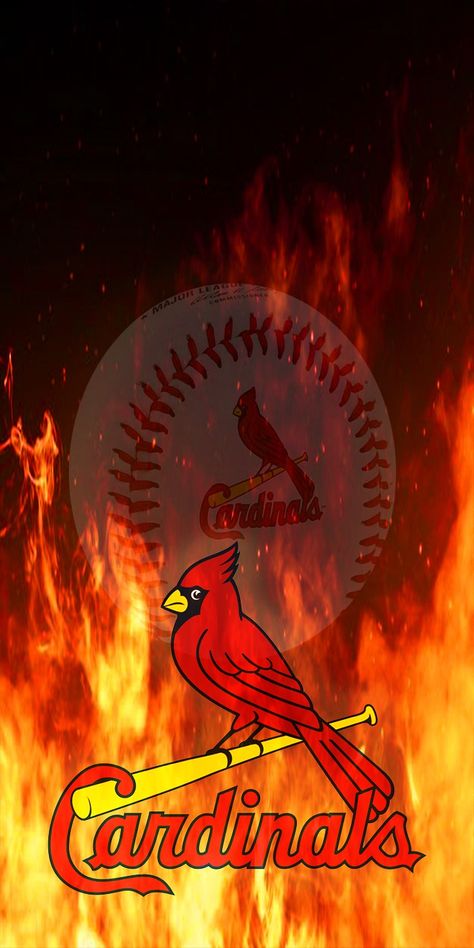 St Louis Cardinals Wallpaper, Cardinals Wallpaper, Logo Wall, Eren Jaeger, Wallpapers Hd, St Louis Cardinals, Cardinals, St Louis, Mlb