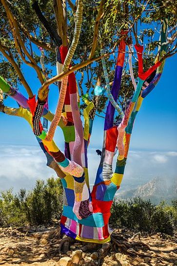 knit bomb tree in santa barbara,ca Feature Column, Cool Art Projects, Art Yarn, Outdoor Art, Land Art, Yarn Art, Tree Art, Public Art, Art Plastique