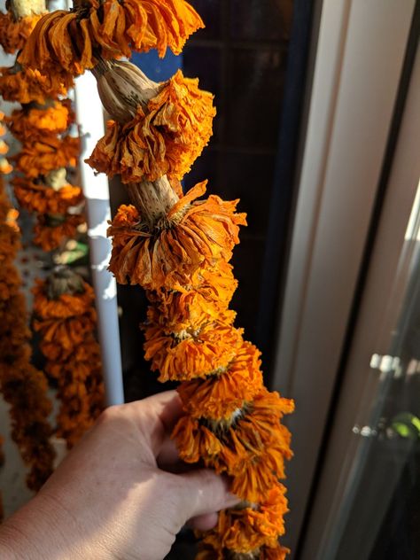 Dried Marigold Wreath, Dried Marigold Uses, Dried Marigold Garland, Dried Marigold, Faire Outfit, Marigold Garland, Ren Faire Outfits, Marigold Flowers, Xmas 2024