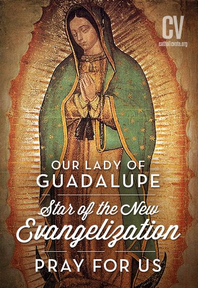 Happy Feast of Our Lady of Guadalupe, Patroness of the Unborn!  //  CatholicVote.org Lady Guadalupe, Gospel Reading, Catholic Doctrine, Mama Mary, Miracle Prayer, Reading Art, Blessed Mother Mary, Our Lady Of Guadalupe, 12 December