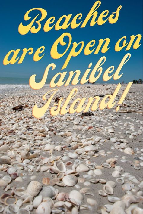 Sanibel Island Beaches, Sanibel Island Florida, Fort Myers Beach, Fort Myers Florida, Beach Road, Sanibel Island, Island Beach, Beach Lovers, Fort Myers