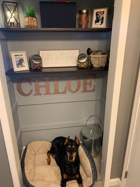 Paint, some clearance decorations, some jars for snack storage.  Cozy nook for your puppy. Hall Closet Dog Room, Turning Closet Into Dog Room, Dog Bed In Closet Ideas, Coat Closet Into Dog Room, Doggie Closet Ideas, Closet To Dog Room, Dog Bed In Closet, Closet To Dog Space, Closet Turned Dog Room