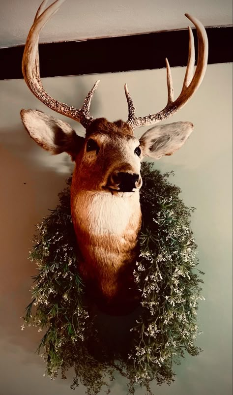 Tasteful Deer Head Decor, Classy Deer Head Decor, Decorated Deer Head, Deer Head Aesthetic, Deer Head In Bedroom, Deer Head Display Ideas, Deer Head Wall Decor Ideas, Deer Heads On Wall Ideas, Deer Mount Above Fireplace