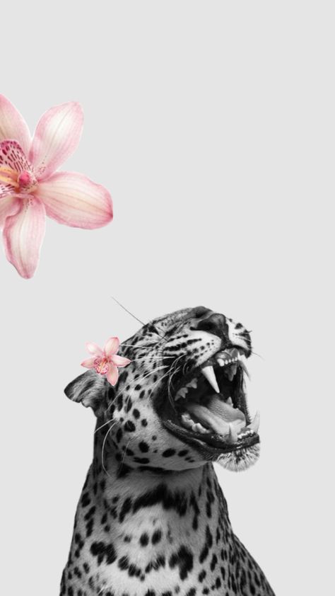 Leopard Print Background, Cheetah Print Wallpaper, Tiger Wallpaper, Animal Print Wallpaper, Cute Christmas Wallpaper, Nothing But Flowers, Iphone Wallpaper Photos, Name Wallpaper, Iphone Wallpaper Tumblr Aesthetic