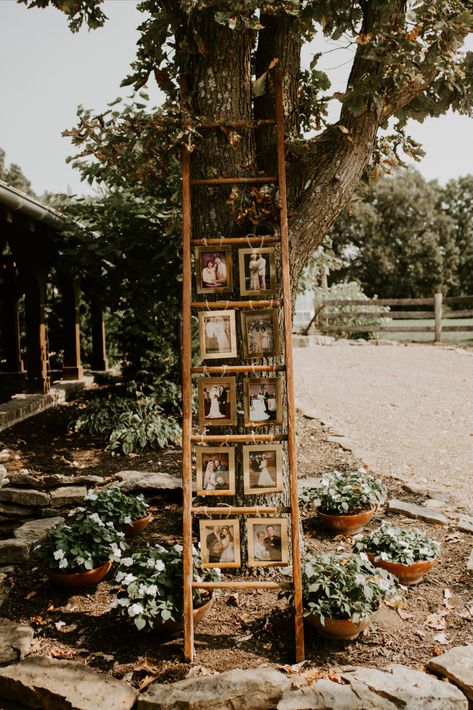 Wedding Ladder Display, Wedding Ladder Decor, Ladder For Wedding Decor, Ladder Picture Display Wedding, Ladder Memory Wedding, Old Ladder Wedding Decor, Photo Ladder, Ladder Wedding, Cottagecore Wedding