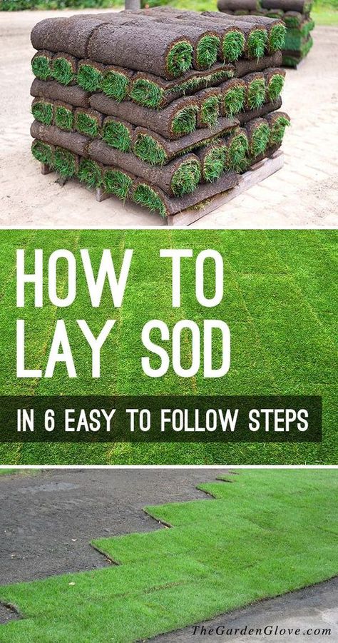 How to Lay Sod in 6 Easy to Follow Steps - Nothing transforms a yard and garden faster then the velvet green of a freshly laid sod lawn. So let’s learn how to lay sod with this step by step tutorial! #laysod #backyardideas #backyardprojects #howtolaysod #newlawn #gardenideas #diygardenideas #diygardenprojects #TGG #plantlawn #plantanewlawn How To Lay Sod, Sod Installation, Diy Lawn, Lawn Care Tips, Yard And Garden, Lawn Maintenance, Gardening Gloves, Diy Garden Projects, Yard Work