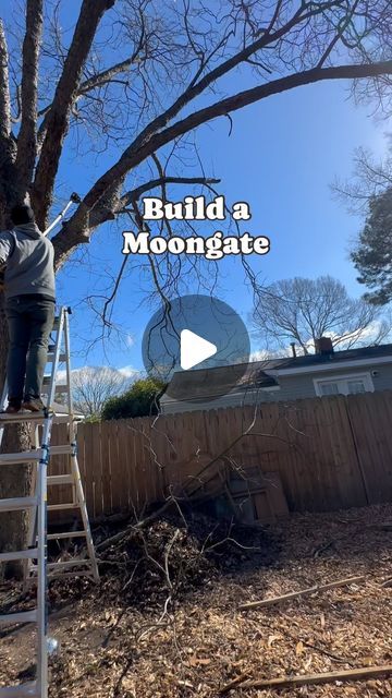 Amber | Chronic Oversharer on Instagram: "Difficultly: EASY 

Anyone can do it! 

If you decide to try this please tag me and send me pictures! I would love to see your garden space! 

#moongate #moongatearch #moongategarden #moongarden #nighttimepollinators #makeamoongate #tutorial #gardentutorial" Moon Gate Garden Diy, Moongate Diy, Diy Moongate, Moon Gate Diy, Moon Gate Garden, Garden Goblin, Moongate Garden, Moon Gates, Me Pictures