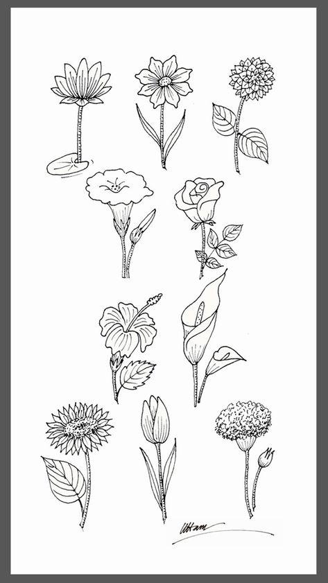 In this video I show you how to draw easy different 10 type of very known flowers drawing. In this technique is easy to make drawing for you. Hope you like it. Flower With Roots Drawing, Different Types Of Flowers Drawing, Roots Drawing, Make Drawing, K Art, Flower Step By Step, 10 Flowers, Draw Easy, Different Types Of Flowers