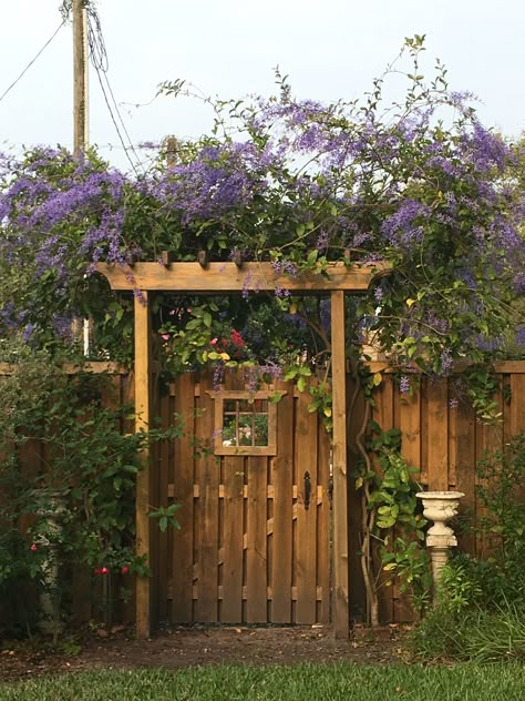 Privacy Fence Arbor, Fence Gate With Window, Fence Gate Entrance Landscaping Ideas, Aviary Attached To House, Gazebo Front Yard, Fence Gate Arbor, Arbor Front Of House, Cute Garden Gate, Gate Trellis Ideas