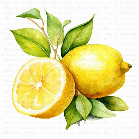 Lemons Clipart | 5 High Quality JPG's | Digital Download | Citrus Fruit | Summer Fruits | Watercolor Lemon | Printable Art | Clipart Pack  🌟 Special Offer! 🌟 Elevate your creative projects with this exclusive clipart bundle, featuring 5 stunning images at an incredible price! Perfect for nursery wall art, junk journals, greeting cards, invitations, prints, scrapbooks, collages, mixed media, paper crafts, mugs, apparel, and social media posts. 🖼️ Each image is a unique masterpiece, available o Lemon Digital Art, Lemon Aesthetic Art, Lemon Printable, Fruits Watercolor, Lemon Drawing, Lemon Clipart, Watercolor Lemon, Lemon Watercolor, Fruit Summer