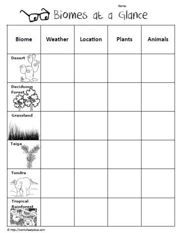 Biome Graphic Organizer  for the reflection process??? when gallery walking & learning about other's biomes? 7th Grade Science, Third Grade Science, Science Notebook, 4th Grade Science, 6th Grade Science, 5th Grade Science, Teaching Biology, Graphic Organizer, Science Resources