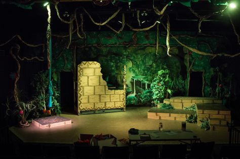 The Jungle Book & Tarzan // Scenic Design by Eric Rorholm // Directed by JoAnne Emery // Spokane Children's Theatre 2017 Tarzan Musical, My Fathers Dragon, Pirates Of Penzance, Set Theatre, Set Design Theatre, Theatre Design, Theatre Set, Stage Set, Scenic Design