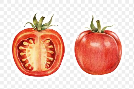 Vintage Tomato Illustration, Tomato Png, Tomato Sticker, Tomato Illustration, Fruits Stickers, Tomato Drawing, Tomato Tomato, Vegetable Design, Png Illustration